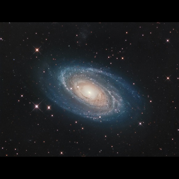 Meet your Posher, Jagger - Picture 1 of 1